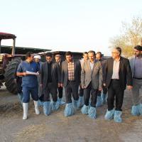 بازدید هیئت رئیسه دانشگاه فردوسی مشهد از مجموعه مزرعه آموزشی تحقیقاتی و مرکز تحقیقات گاوشیری دانشکده کشاورزی