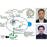 ساخت نخستین واکسن نوترکیب آنفلوانزای H9N2 در ایران توسط پژوهشگران دانشگاه تهران و دانشگاه فردوسی مشهد